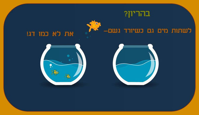 איך לשתות מים... גם כשקר!