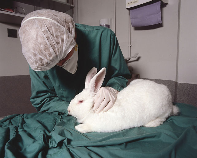 Courtosy of Understanding Animal Research