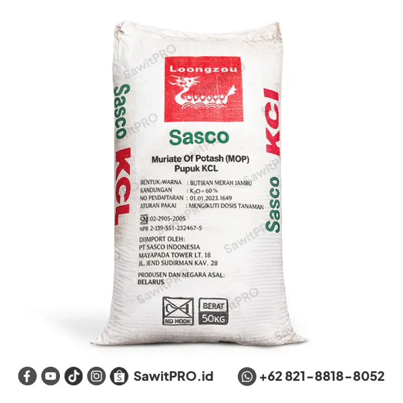 kcl sasco