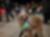 IMG_6920.jpeg