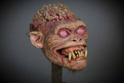 Monkey Brains | Magee FX Store