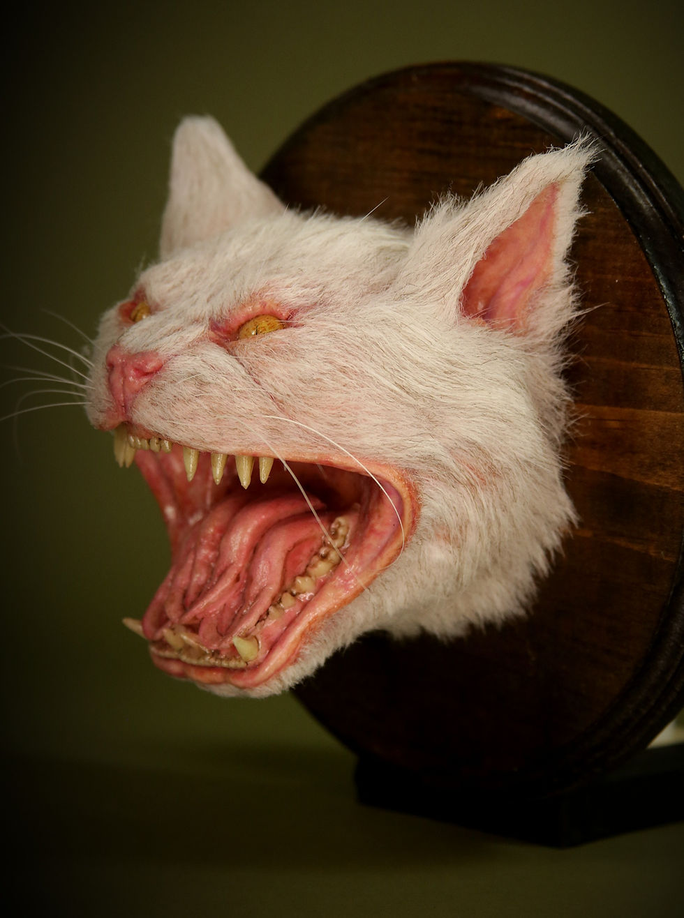 Thumbnail: Angry Cat
