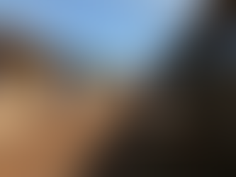 Agentes de combate a endemias e secretaria da Agricultura realizam mutirão de limpeza no Cemitério Municipal de Sertão