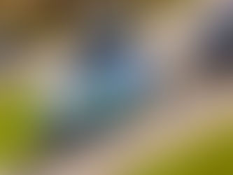 Getuliense Leonardo Tagliari busca bom resultado no Velopark pelo Gaúcho de Super Turismo