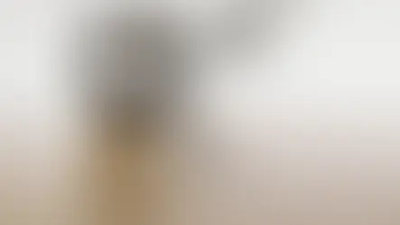 [ÁUDIO] Escuta Aqui | 15/06/2026 - O relógio invisível da mente: por que sentimos o tempo voar e como a tecnologia sabota o presente