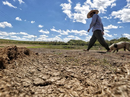 Governo do RS prevê liberar mais de R$ 200 milhões para irrigação e conservação da água