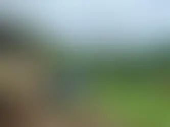 Polícia prende homem por atropelamento doloso contra o próprio irmão em Getúlio Vargas