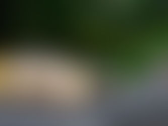 Mudança no uso dos faróis durante o dia entra em vigor em 2021 em todo o Brasil