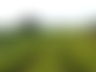 Banco do Brasil reforça linhas de crédito rural com R$ 1 bilhão