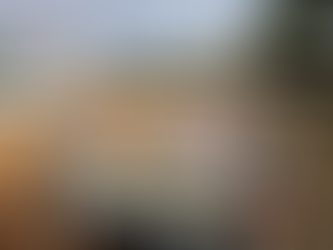 Alimentos impróprios são apreendidos em Erebango pela Força-Tarefa do Consumidor