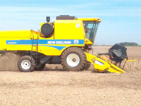 Colheita de soja avança no Rio Grande do Sul com 20% da área já colhida