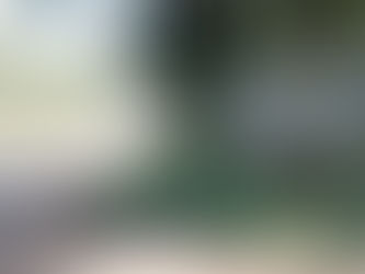 Dnit sinaliza início das obras de asfaltamento da Transbrasiliana em 2024