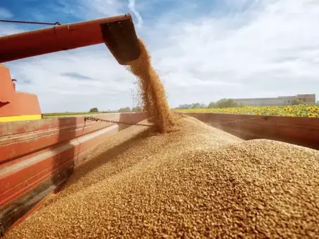 Exportações do agronegócio brasileiro se mantêm estáveis em setembro, apesar da queda dos preços