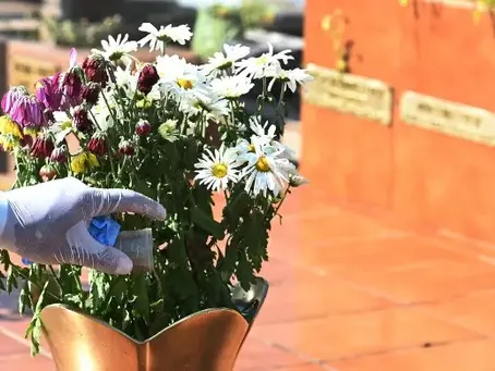 Vasos com água parada em cemitério aumentam risco de dengue em Getúlio Vargas