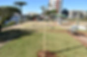 Getúlio Vargas: Prefeitura conclui replantio de árvores na Praça General Flores da Cunha