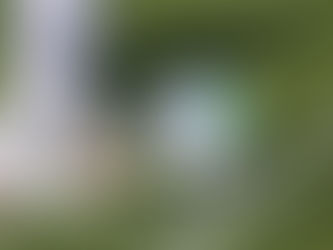 Audiência na Câmara discute retorno do futebol em meio à pandemia