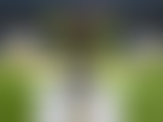 Grêmio vai à Bahia enfrentar o Vitória na noite desta terça-feira (27) pela Copa do Brasil