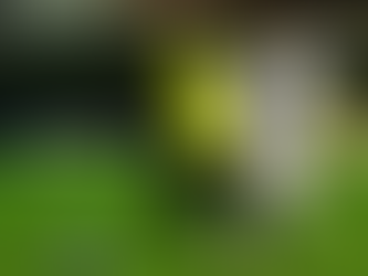 Ypiranga perde para o lanterna Aparecidense-GO e deixa escapar a liderança da Série C