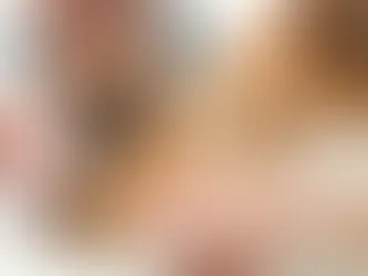 Cadastro para castração e microchipagem de cadelas e gatas está aberto em Estação