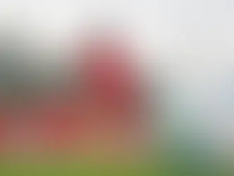 Inter x Flamengo: saiba horário, onde assistir e as prováveis escalações para o jogo no Beira-Rio