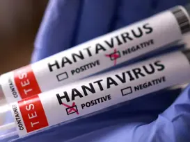 Rio Grande do Sul confirma dois casos e uma morte por hantavírus
