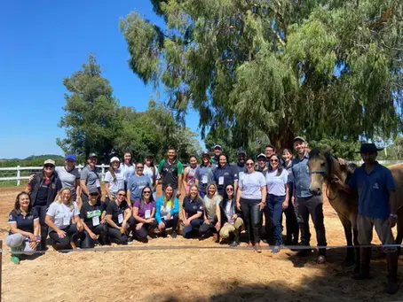 Atendimento de equoterapia em Sertão recebe qualificação técnica para usuários da região