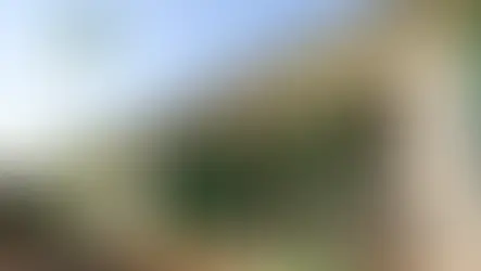 IFRS Campus Sertão oferecerá especialização em Desenvolvimento e Inovação 100% a distância