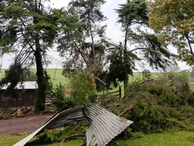 Ipiranga do Sul decreta situação de emergência após granizo atingir mais de 80 casas