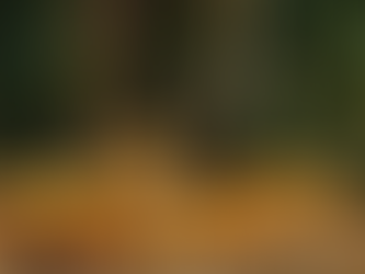 Secretaria da Agricultura inicia entrega de sementes do programa Troca-Troca