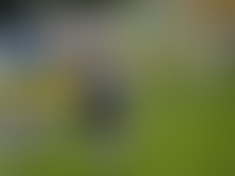 Grêmio cede empate para o Santos na Arena e segue na lanterna do Brasileirão