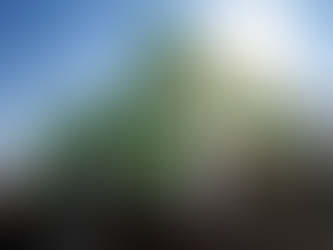 Sicredi participa da 47ª Expointer em Esteio com foco na recuperação do agronegócio afetado por enchentes