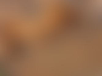 Brasil é o país que pior lidou com pandemia e Nova Zelândia o melhor, aponta estudo australiano