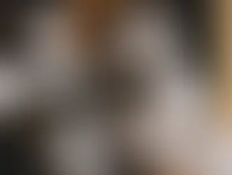 Câmara de Getúlio Vargas aprova criação de fundo e conselho municipal para proteção animal