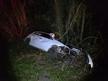 Carro colide contra boi e deixa três passageiras feridas na ERS-135 em Getúlio Vargas