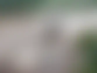 Chuva no RS destrói pela segunda vez ponte construída por moradores em Feliz