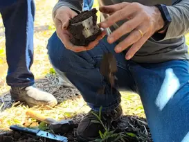 Getúlio Vargas e outros 23 municípios da região iniciam diagnósticos da Operação Terra Forte