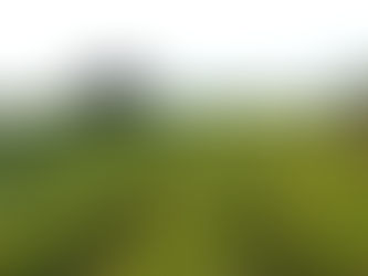 Governo federal muda regras do Cadastro Nacional do Agricultor Familiar (CAF)