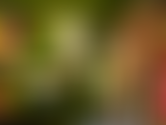 Estação promove Arraiá do Roteiro Turístico no dia 19 de julho