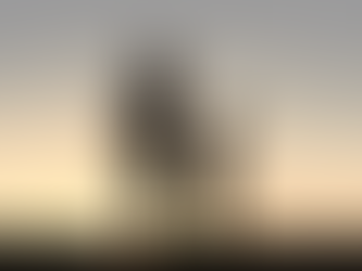 Núcleo de Comércio de Ipiranga do Sul lança campanha para o Dia das Mães 2024