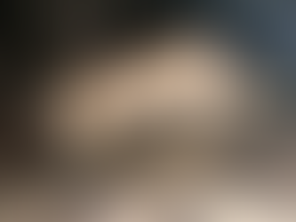 3° Batalhão Ambiental monitora onça-parda que foi filmada por moradores de Erechim