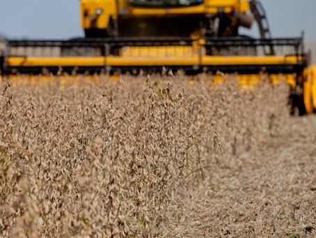 Preços mínimos de produtos da safra de verão são atualizados pelo Ministério da Agricultura