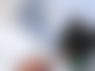 Aplicativo Pardal recebe mais de 1.200 denúncias de irregularidades na propaganda eleitoral no Rio Grande do Sul