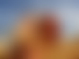 Ipiranga do Sul terá 36% de aumento da área plantada de trigo