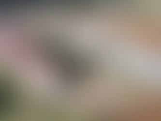 Prefeitura de Getúlio Vargas inicia processo de transição para novo governo