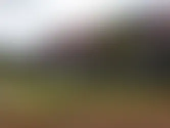 Rota Turística Judaica recebe reconhecimento de interesse federal em comissão do Senado