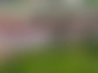 Repartições municipais de Getúlio Vargas fecham no feriado de Carnaval