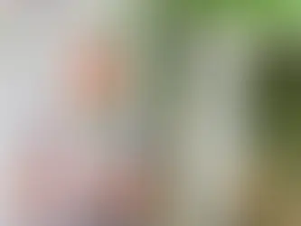 Adelcio Luiz Mores é eleito presidente do Ypiranga para o biênio 2026-2027