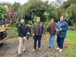 Programa em Centenário investe R$ 1 milhão e impulsiona fruticultura