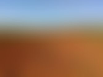 La Niña pode afetar a lavoura de soja no Rio Grande do Sul