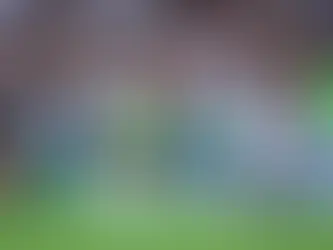 Grêmio enfrenta o líder Palmeiras em busca da primeira vitória como visitante no Brasileirão